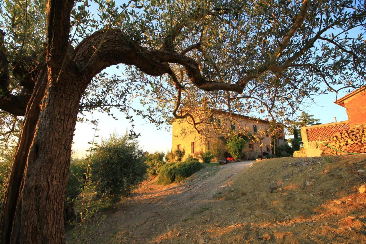 Appartement Casolare Marconi à Panicale Extérieur photo